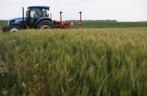 El BOE aprueba la orden de módulos con importantes reducciones en el IRPF 2025 para 10.000 agricultores y ganaderos